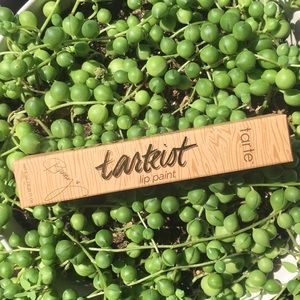 Grav3yardgirl Texas Toast Tarte Lip Paint